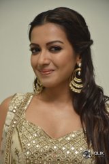 Catherine Tresa At Goutham Nanda Movie Success Meet